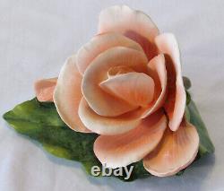 RARE Porcelain Begonia, Ronald V. Ruykevelt, Franklin Mint, Delicate Floral 1989