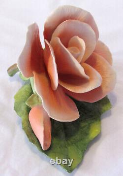 RARE Porcelain Begonia, Ronald V. Ruykevelt, Franklin Mint, Delicate Floral 1989