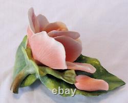 RARE Porcelain Begonia, Ronald V. Ruykevelt, Franklin Mint, Delicate Floral 1989