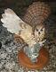 Rare! Franklin Mint The Eagle Owl Large Porcelain Figurine By George Mcmonigle