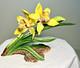 Ronald Van Ruyckevelt Angelica Orchid Franklin Mint Porcelain 1986