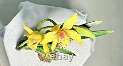 Ronald Van Ruyckevelt Angelica Orchid Franklin Mint Porcelain 1986