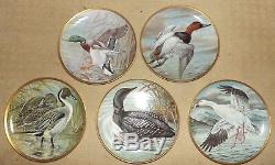 (Set of 11) Franklin Porcelain WATER BIRDS of the WORLD Collector's Plates 1981