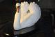 Silent-Swan-White-Bisque-Porcelain-Sculpture-Franklin-Mint-1983-RARE