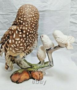 Spotted Owl and Owlets Figurine by Franklin Mint