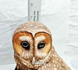 Spotted Owl and Owlets Figurine by Franklin Mint