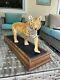 The Franklin Mint Bengal 25 On the Prowl Porcelain with Stand, Vintage 1988