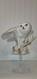 The Snowy Owl By George McMonigle The Franklin Mint 1989 Vintage Sculpture
