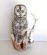 Vintage 1988 Franklin Mint Great Grey Owl Porcelain Statue by George McMonigle