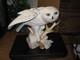 Vintage 1989 Franklin Mint Snowy White Owl Hand Painted Porcelain Sculpture
