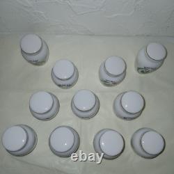 Vintage Set of 11 Gloria Concepts Franklin Mint Porcelain Spice Jars