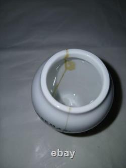 Vintage Set of 11 Gloria Concepts Franklin Mint Porcelain Spice Jars