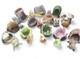 Woodland Surprises Animals 1984 Franklin Mint Set 12 Figures Jacqueline B Smith